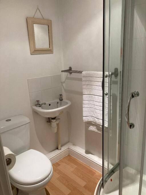 Studio Annexe With Separate Shower Room Broadhempston Екстер'єр фото